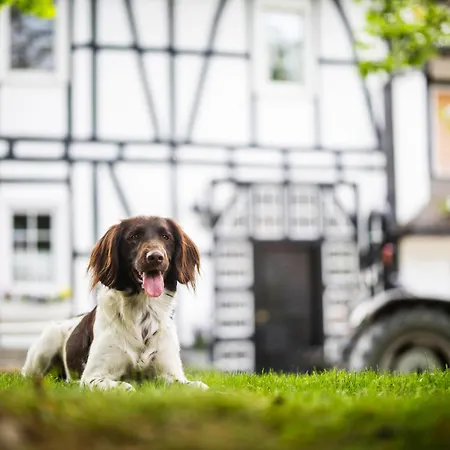 Vakantiehuis Hof Koehne - Haus Waltons 2er *