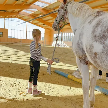 Vakantiehuis Hof Koehne - Haus Waltons 2er Schmallenberg