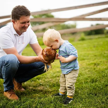 Hof Koehne - Haus Waltons 2er