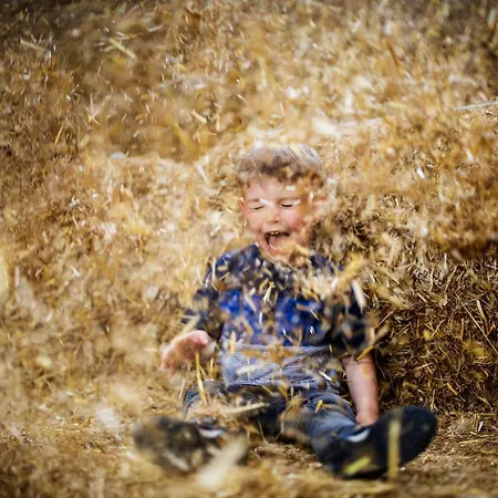 Hof Koehne - Haus Waltons 2er Schmallenberg