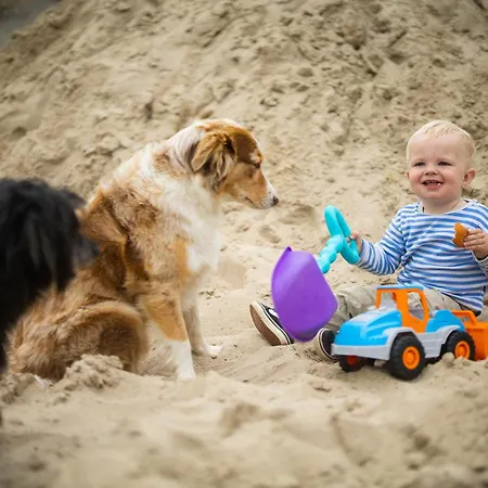 Vakantiehuis Hof Koehne - Haus Waltons 2er *