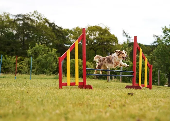 Hof Koehne - Haus Waltons 2er Vakantiehuis *
