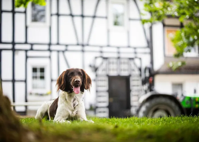 Vakantiehuis Hof Koehne - Haus Waltons 2er *