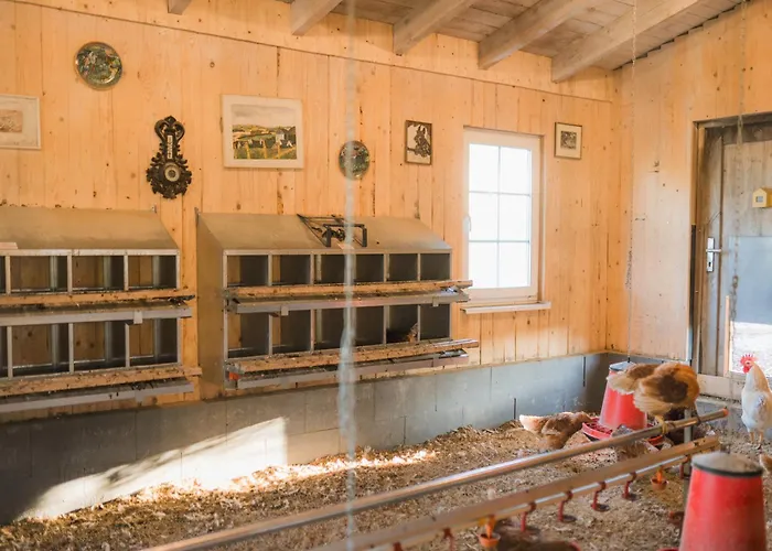 Hof Koehne - Haus Waltons 2er Vakantiehuis *