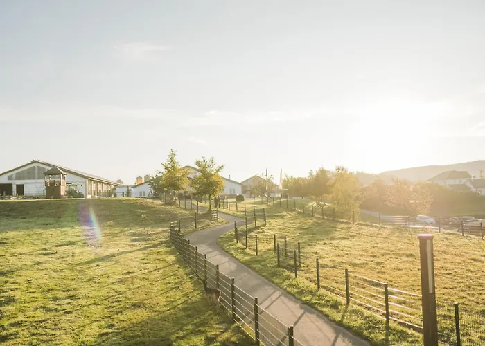 Vakantiehuis Hof Koehne - Haus Waltons 2er *
