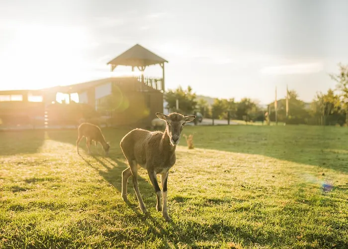 Hof Koehne - Haus Waltons 2er