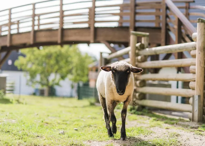 Hof Koehne - Haus Waltons 2er Schmallenberg