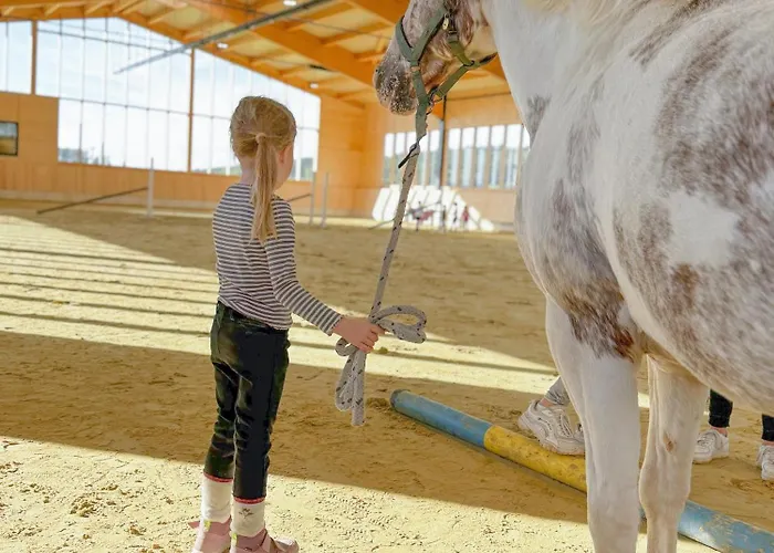 Vakantiehuis Hof Koehne - Haus Waltons 2er Schmallenberg